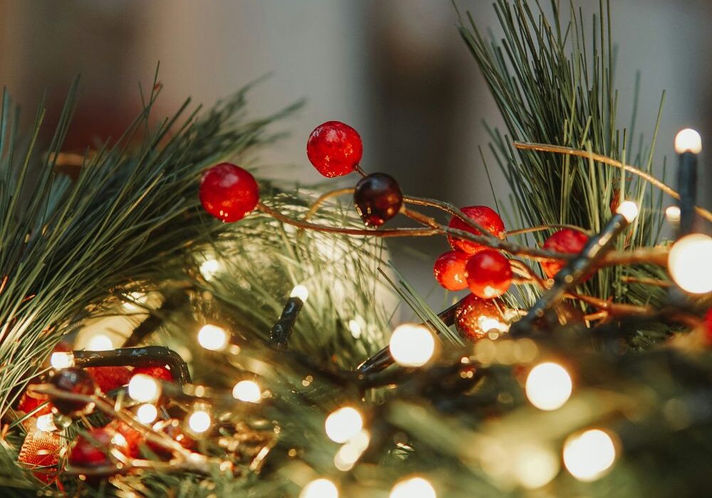 HM-DG-OB-Out-About-Christmas-Displays