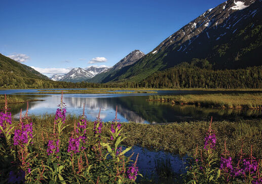 Alaska's Chugach National Forest covers 5.4 million acres, which is roughly the size of New Hampshire. It is home to thousands of glaciers and has more than 500 miles of trails