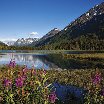 Alaska's Chugach National Forest covers 5.4 million acres, which is roughly the size of New Hampshire. It is home to thousands of glaciers and has more than 500 miles of trails